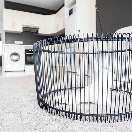 The Black House In 아파트 아데제